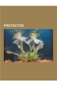 Proyectos