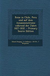 Reise in Chile, Peru Und Auf Dem Amazonenstrome Wahrend Der Jahre 1827-1832. - Primary Source Edition