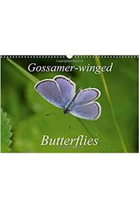 Gossamer-Winged Butterflies 2017