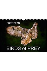 European Birds of Prey 2017