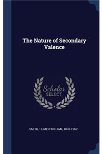 The Nature of Secondary Valence