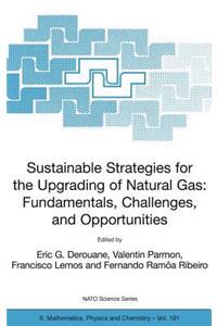 Sustainable Strategies for the Upgrading of Natural Gas: Fundamentals, Challenges, and Opportunities