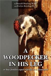 Woodpecker in His Leg