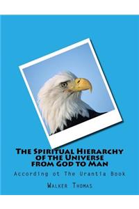 Spiritual Hierarchy of the Universe from God to Man