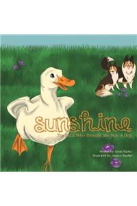 Sunshine