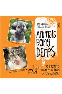 Animals Being Derps 2021 Wall Calendar