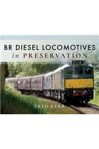 BR Diesel Locomotives in Preservation