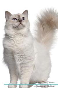 Birman Cat Affirmations Workbook Birman Cat Presents