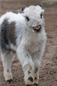 Baby Yak Animal Journal