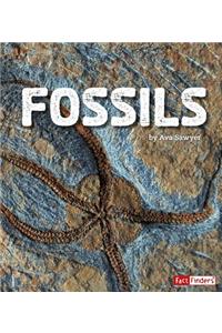 Fossils