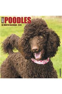 Just Poodles 2019 Wall Calendar (Dog Breed Calendar)