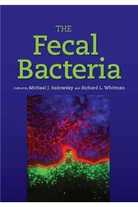 Fecal Bacteria