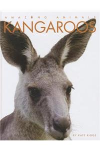 Kangaroos