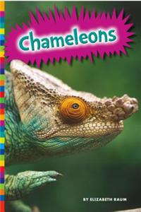 Chameleons