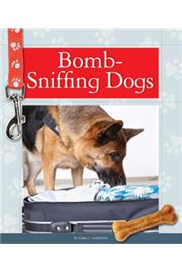 Bomb-Sniffing Dogs