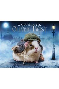 Guinea Pig Oliver Twist