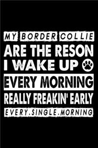 My Border Collie Are The Reason I Wake Up Every Morning Really Freakin. Early Every.Single.Morning.