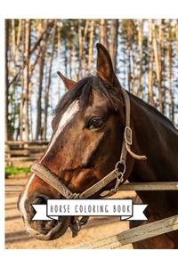Horse Coloring Book