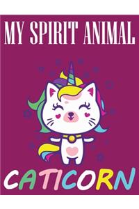 My spirit Animal Caticorn