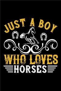 Just A Boy Who Loves Horses