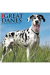Just Great Danes 2017 Wall Calendar