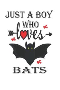 Just a Boy Who Loves Bats