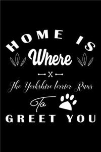 Home is where the Yorkshire terrier to Greet you