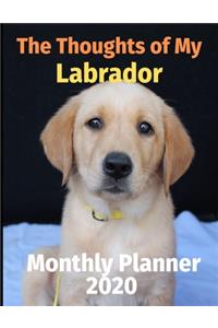 The Thoughts of My Labrador