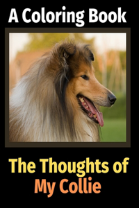 Thoughts of My Collie