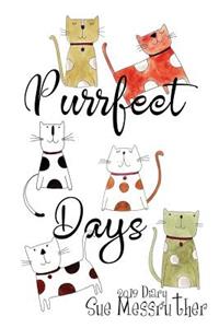 Purrfect Days