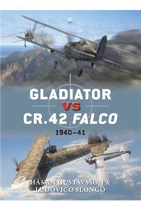 Gladiator Vs Cr.42 Falco