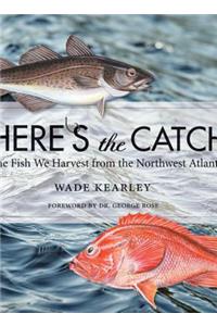 Here's the Catch