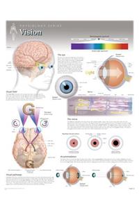 Vision Wall Chart