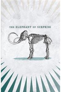 The Elephant of Surprise