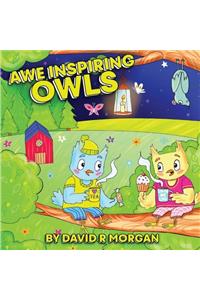 Awe Inspiring Owls