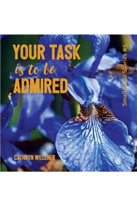 Your Task Is To Be Admired