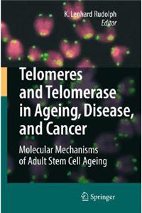 Telomeres and Telomerase in Ageing, Disease, and Cancer