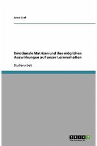 Emotionale Matrizen und ihre möglichen Auswirkungen auf unser Lernverhalten