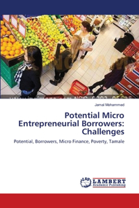Potential Micro Entrepreneurial Borrowers