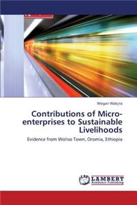 Contributions of Micro-Enterprises to Sustainable Livelihoods