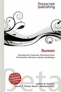 Rumen
