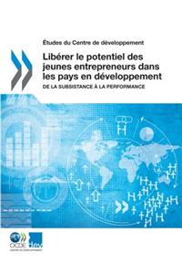 Études Du Centre de Développement Libérer Le Potentiel Des Jeunes Entrepreneurs Dans Les Pays En Développement de la Subsistance À La Performance