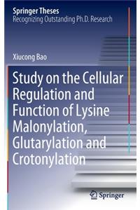 Study on the Cellular Regulation and Function of Lysine Malonylation, Glutarylation and Crotonylation