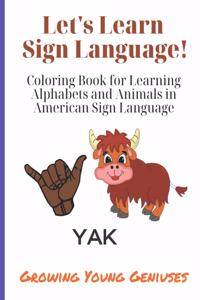 Let's Learn Sign Language!