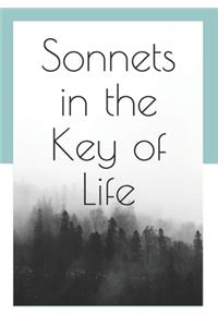 Sonnets in the Key of Life