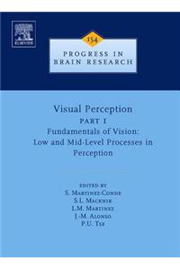 Visual Perception Part 1
