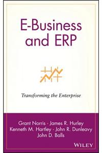 E-Business and Erp