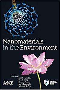 Nanomaterials in the Environment