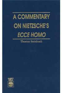 Commentary on Nietzsche's Ecce Homo
