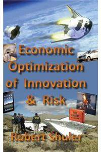 Economic Optimization of Innovation and Risk